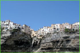 Bonifacio