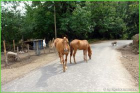 Korsika