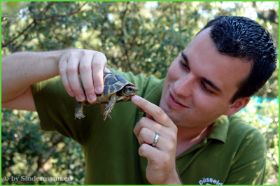 Village des Tortues